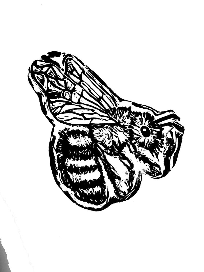 Abeja