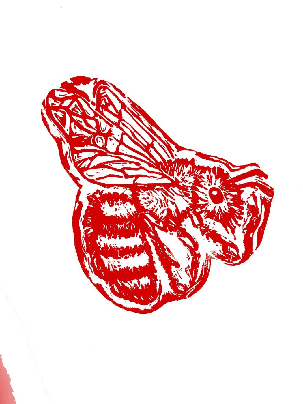 Abeja (versión roja)