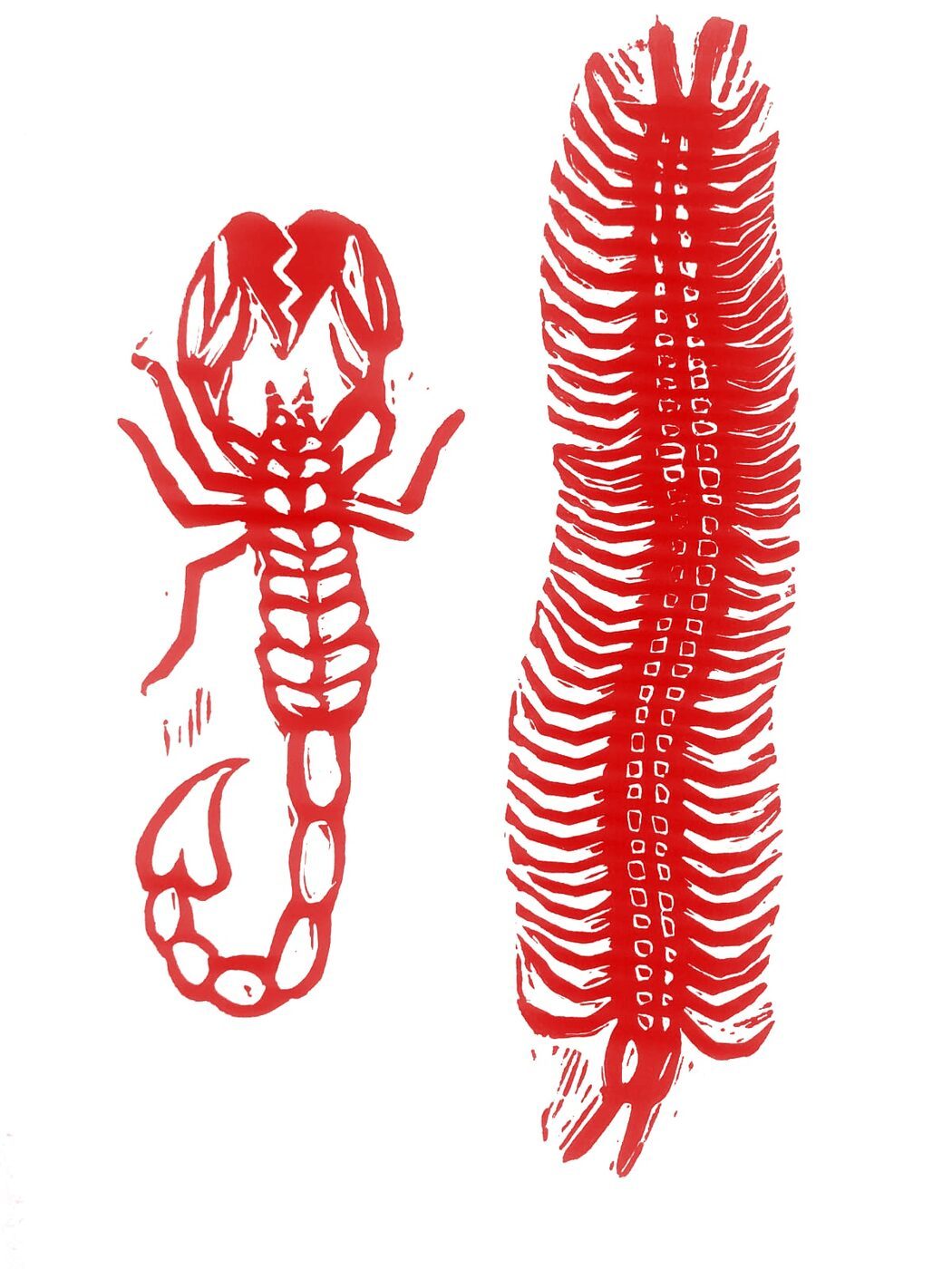 Alacrán y ciempiés (versión roja)