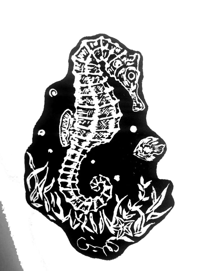 Caballito de mar
