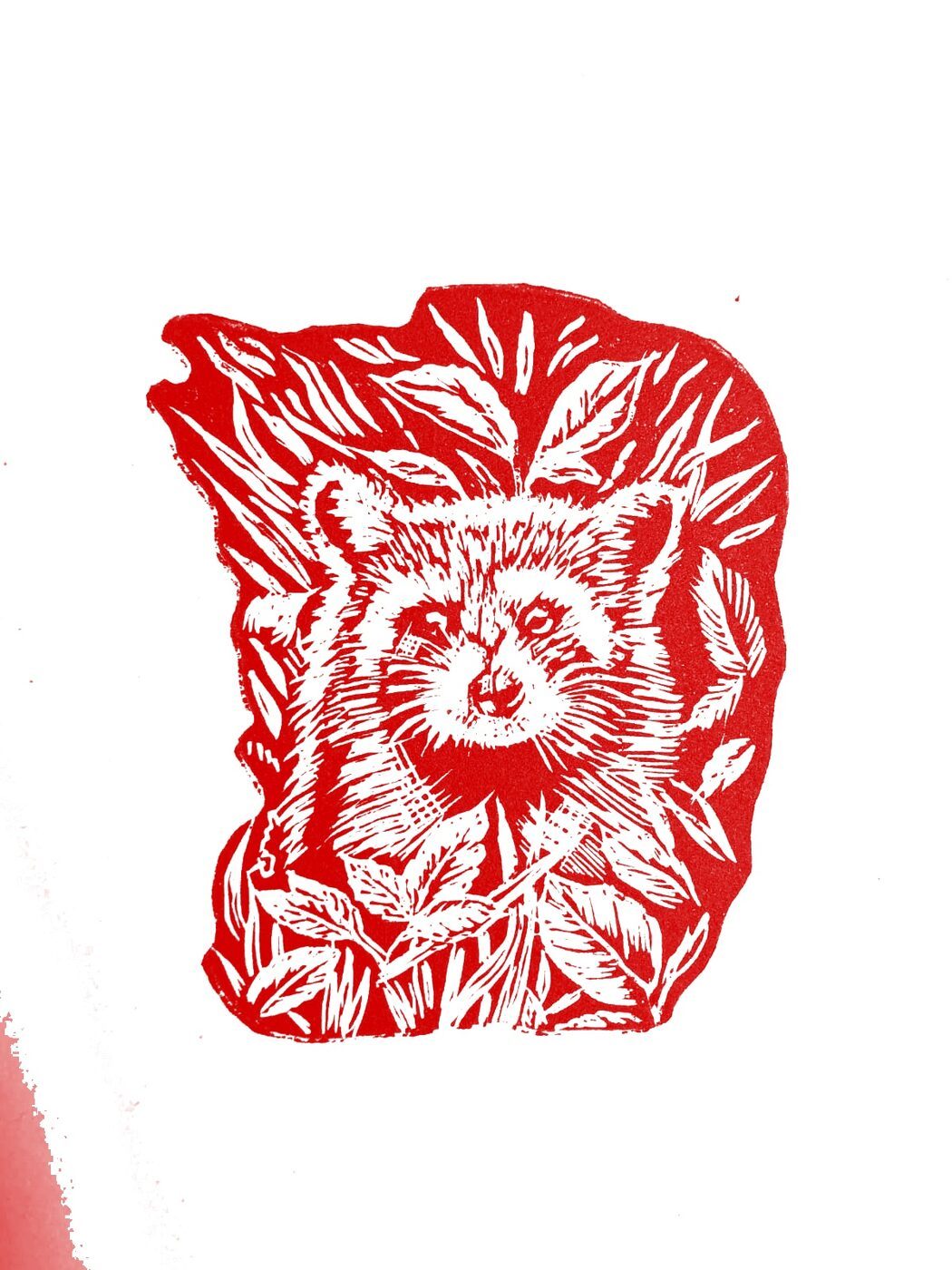 Mapache (versión roja)